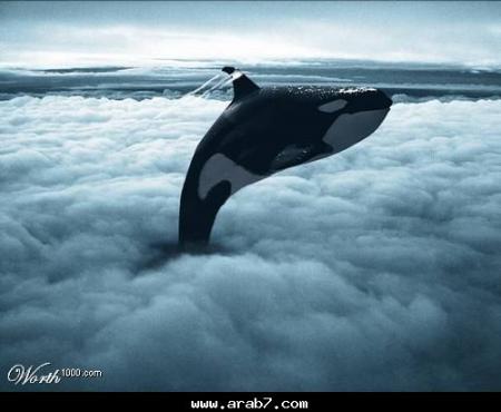 UN DEPHIN QUI NAGE DANS LE CIEL